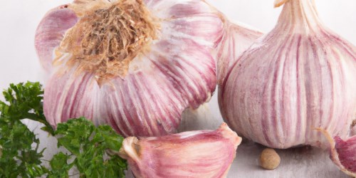 Blasenentzündung: Knoblauch